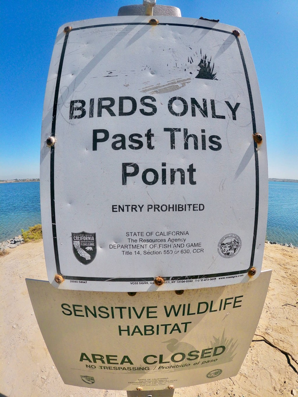 Birdwatching at Bolsa Chica Ecological Reserve: Huntington Beach, CA&nbsp;🏖️