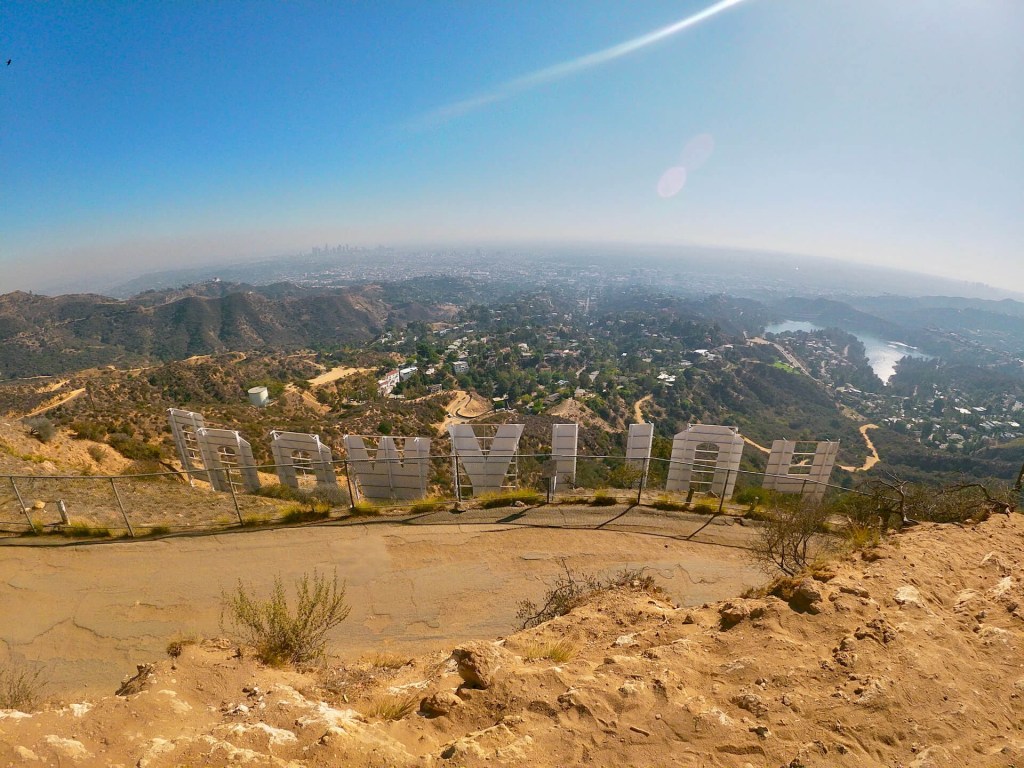 Birdwatching in Hollywood&nbsp;⭐️🎬