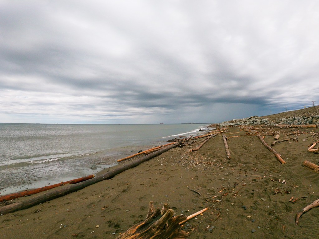 Best Day Ever: Birding in Nome, AK&nbsp;🌊