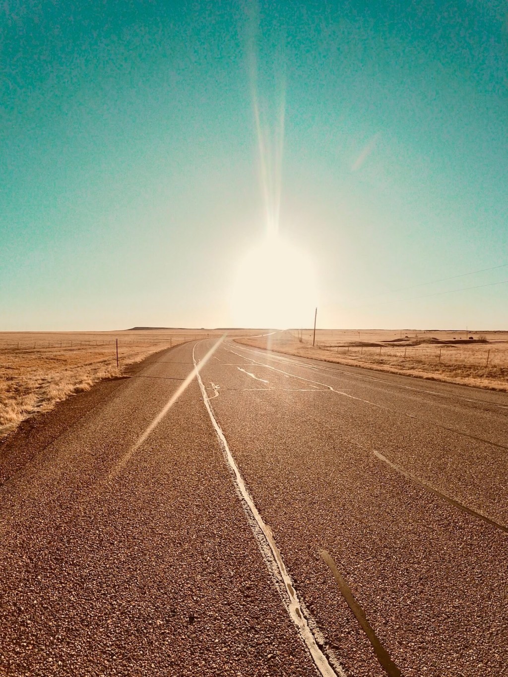 Birdwatching at Las Vegas National Wildlife Refuge ☀️ (New&nbsp;Mexico)