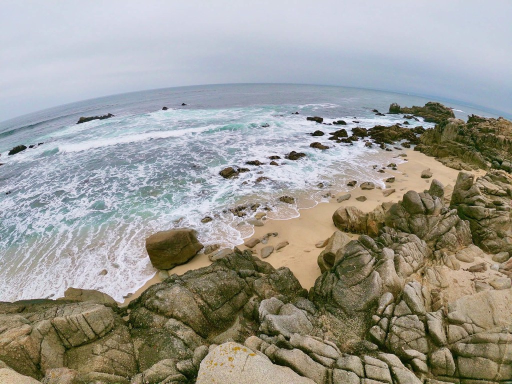 Birdwatching in Monterey: Pacific Grove, CA&nbsp;🦋