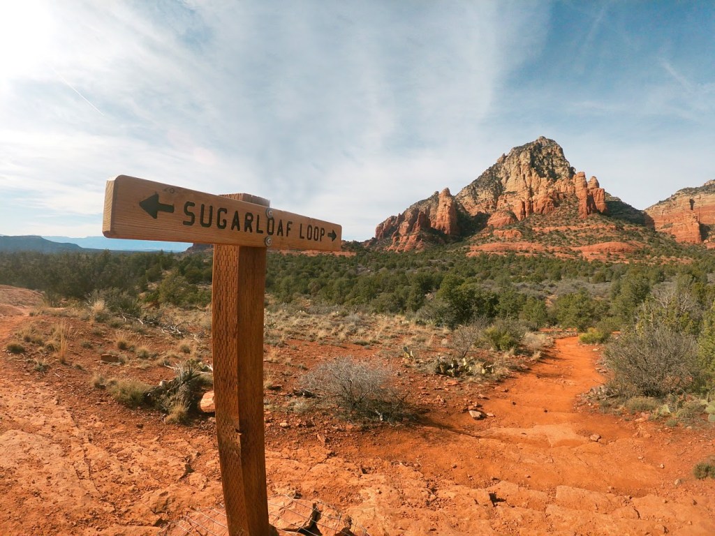 “Canyon Wrens” in Sedona, Arizona (Sugarloaf&nbsp;Loop)