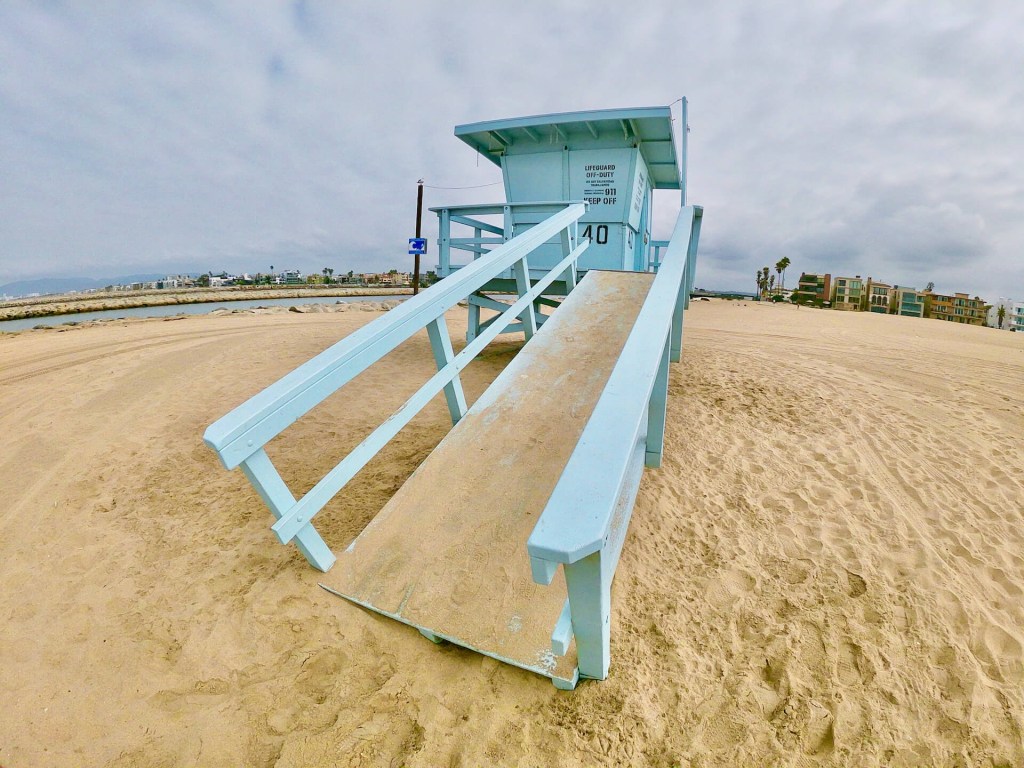 Birding Marina del Rey and Playa del Rey,&nbsp;CA