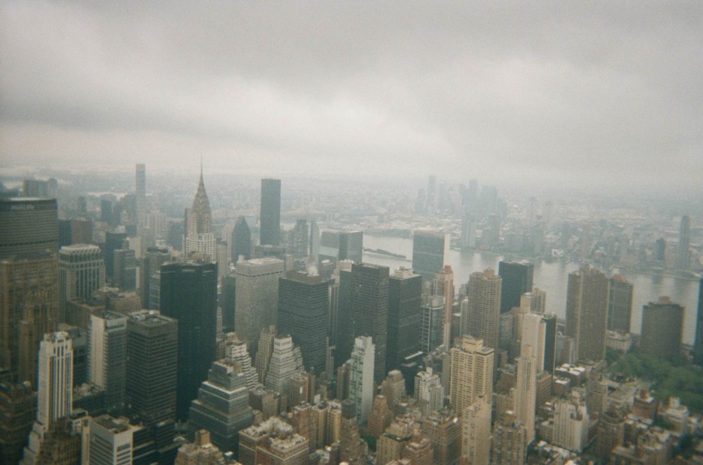 The Pigeons of Manhattan (New York,&nbsp;NY)