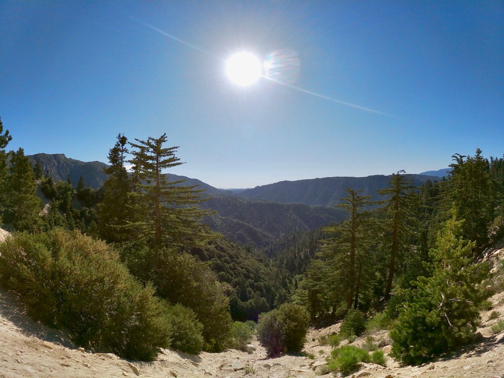 Birdwatching in Big Bear Lake, CA&nbsp;☀️