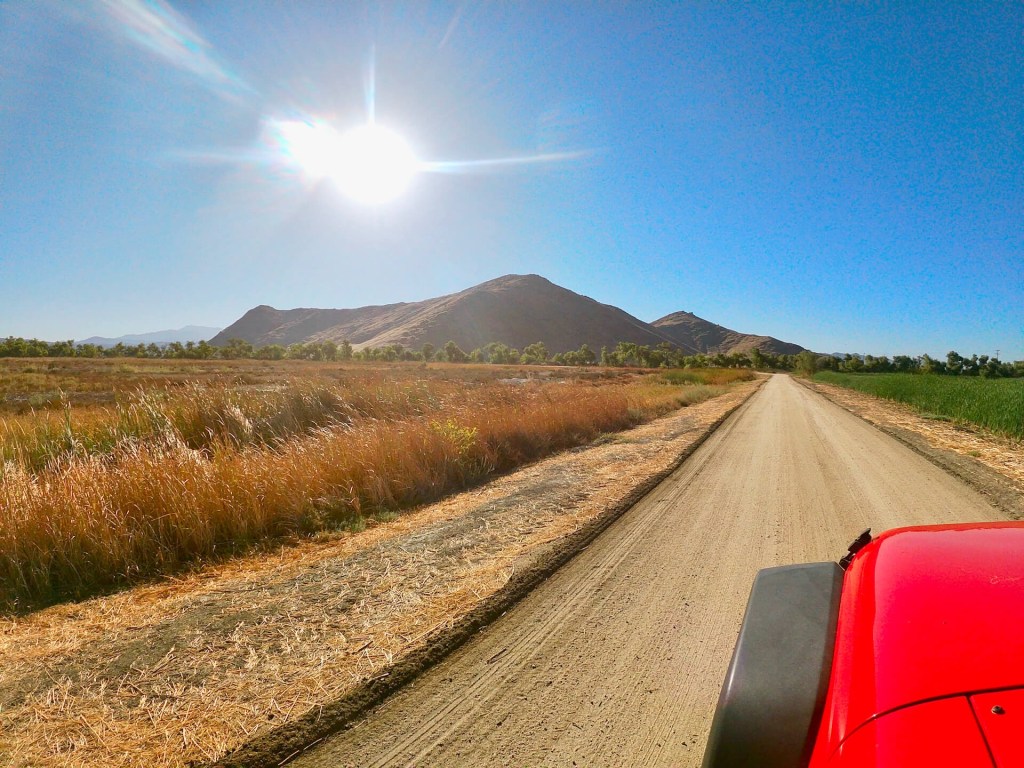 Birding San Jacinto Wildlife Area (Riverside,&nbsp;CA)